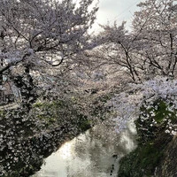 画像242