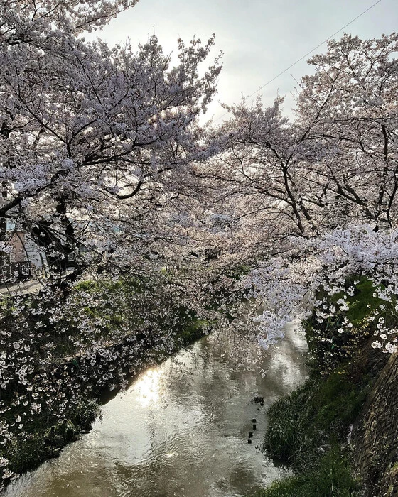 画像242